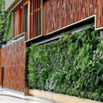 Living Walls - a breath of fresh air for urban spaces